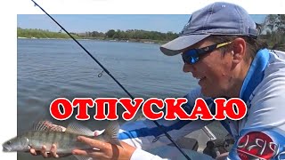 Как Утопить Мешок Судака за Минуту?! (Рыбалка 2019) | #Vovabeer