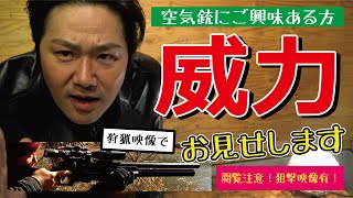 空気銃の威力知りたい方、ちょっと見て～☆本物のエアライフル狩猟映像有☆