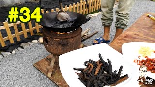 第34集 水蜈蚣 龙虱的幼虫 你敢吃吗？再配上2年成桑葚酒 在小伙眼中那就是美味！ 不管这东西有多难看 多吓人！