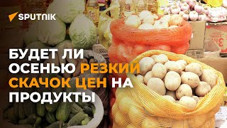Будет ли осенью резкий скачок цен на продукты в КР?