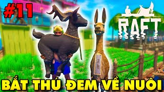 Raft #11 | TUYỂN THÊM 2 THÀNH VIÊN THÚ NUÔI LÊN BÈ VE CHAI | KiA Phạm (w/ Vamy Trần)