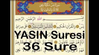 1 okunusta 41 Yasin-i Serif Kuran-i Kerim - www.dost.de.tf