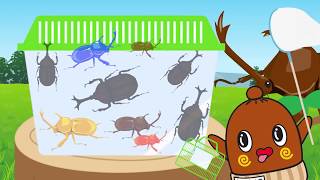 こども 知育【巨大ボスカブトムシ!! 昆虫採集 数字を10まで数えよう！】幼児・赤ちゃん向けアニメ―ション kid's Intellectual training animation
