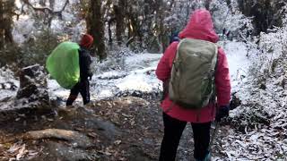 falling snow on the way to ghandruk