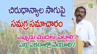 Millets Farming - Suggestions by Cultivation Expert Vijay Kumar || చిరుధాన్యాల సాగులో సాగండి ఇలా !!