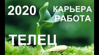 ♉ТЕЛЕЦ. КАРЬЕРА. РАБОТА. ПРОГНОЗ НА 2020 ГОД. ТАРО-ПРОГНОЗ.
