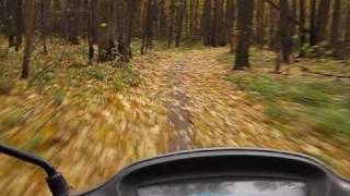 Скутер гонки. В лесу на скутере Honda Tact AF30 dio. In the wood on Honda