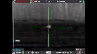 Лиса 195 метров. Прицел IWT Mutant. Калибр 9,3х62