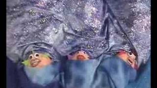 Fish Heads Music Video
