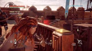 Horizon Zero Dawn™_Free Nasan