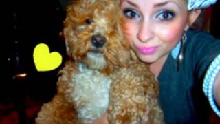 Meet My DOG! Animal Abuse Story & Questions!