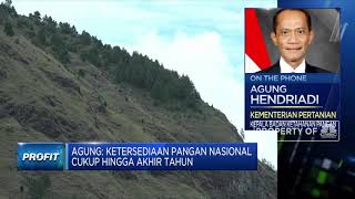 Ini Kata Kementan Soal Sawah Lahan Rawa Antisipasi Krisis Pangan