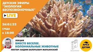 Лекция Вадима Марьинского "Вместе веселее. Колониальные животные" курса "Экология беспозвоночных"