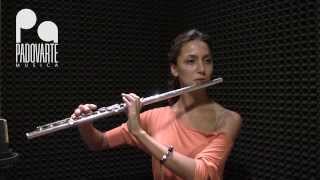 Tutorial: il flauto traverso