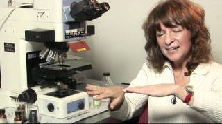 Sistema Nacional de Microscopía