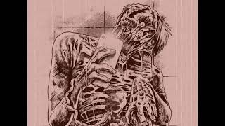 technical and progressive death metal(instrumental)