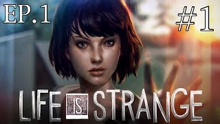 Первый взгляд по Life Is Strange - Это потрясающе :3