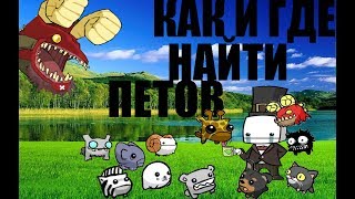 Ка  к и Где найти Петов в игре Castle Crashers