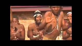 Salaxo AFRICA KONGO STUDIO