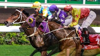 香港賽馬 賽前分析 Ramos.C 賽馬手記 - 堯出個打吡，放頭三雄「星」「寶」「成」