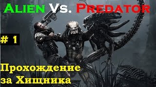 #1 Aliens vs. Predator 2010 (hunt begins) прохождение за хищника