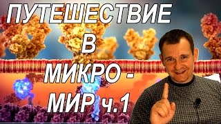 Живая клетка 1 выпуск. Путешествие в Мир микроскопических машин.