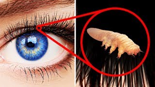 30 Facts You Never Knew About Your Body