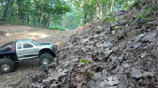 Axial SCX10 Honco - forest