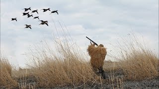 охота на гусей 2019