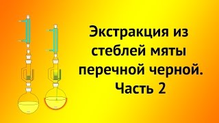 Экстракция из стеблей мяты перечной черной. Часть 2:экстракция