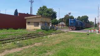 5001/9787 Trenes Argentinos Cargas