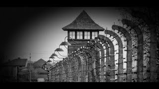 "Polnische Todeslager": Polnischer Senat stimmt für umstrittenes Holocaust-Gesetz