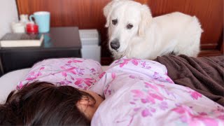 EXPECTATION vs REALITY - Funny Dog Bailey Waking Up Owner
