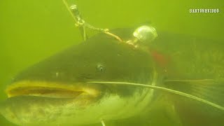 Подводная охота Лето-осень2012г_ч.2. Spearfishing. Записки охотника.