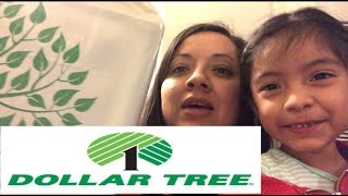 DOLLAR TREE HAUL | SMALL ONE | December 31, 2018
