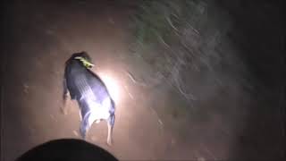 2922