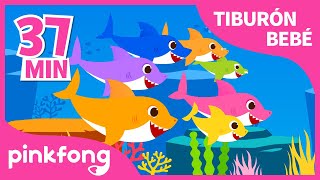 Tiburón Bebé Más y Más | Especial del Tiburón Bebé | +Recopilación | Pinkfong Canciones Infantiles