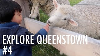 Living in a Campervan: New Zealand #4