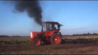 T-25, MTZ 82. Išbandom.:D