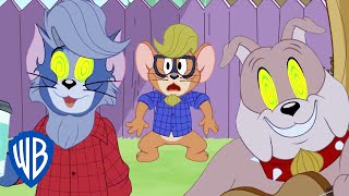 Tom und Jerry auf Deutsch | Tom wird cool | WB Kids