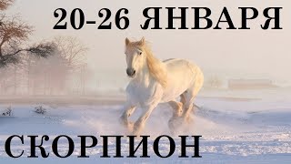 СКОРПИОН 20-26 ЯНВАРЯ ТАРО ГОРОСКОП