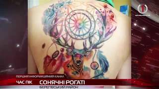 Рогаті приймають сонячні ванни у Берегівському лісомисливському лісництві ім. Маурера