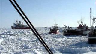 Stuck In The Ice ...2007