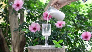STOP HAIR FALL: This Budget Friendly High Protein Drink Stopped My Hair Fall Completely !