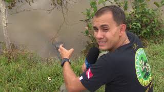 Repórter Canção Nova - Edição 12/08/2018