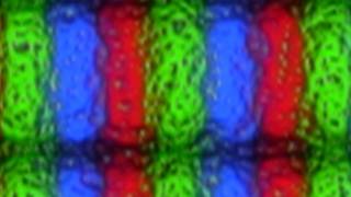 Super macro pixels Raynox dcr 250 Canon hsf s200 Acer S243HL bmii