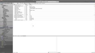 Настройка Xcode при разработке iOS-приложений для корпоративного использования