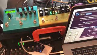 ghost notes arp field test