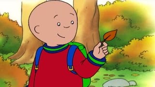 Caillou English Full Episodes | The New Leaf | Cartoons for Kids