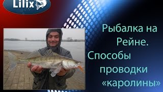 Рыбалка на Рейне. Способы проводки " каролины "